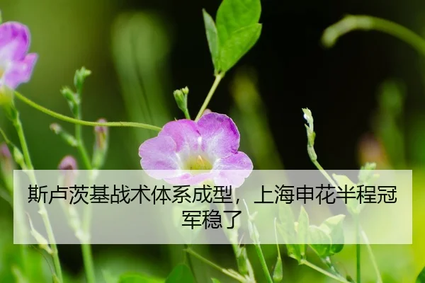 si-lu-ci-ji-zhan-shu-ti-xi-cheng-xing-shang-hai-shen-hua-ban-cheng-guan-jun-wen-le-3-993.jpg