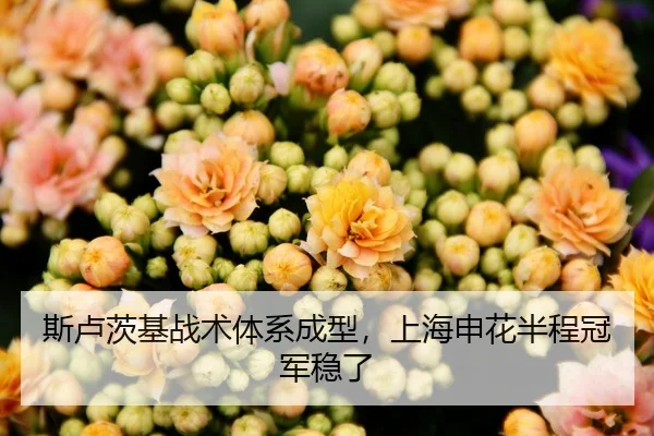 斯卢茨基战术体系成型，上海申花半程冠军稳了