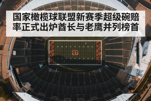国家橄榄球联盟新赛季超级碗赔率正式出炉酋长与老鹰并列榜首